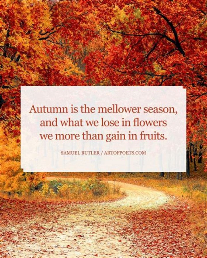 63 Fall Season Quotes - Best Sayings About Autumn