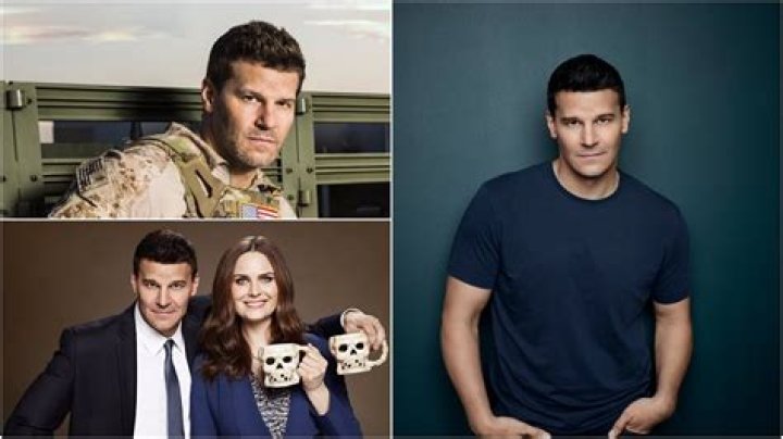 All About David Boreanaz | Net Worth, Relationship, Career