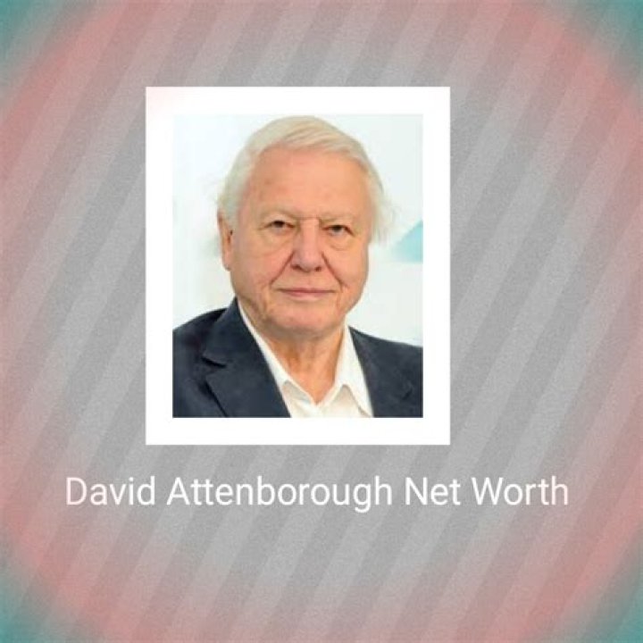 David Attenborough's Net Worth In 2023 And Beyond