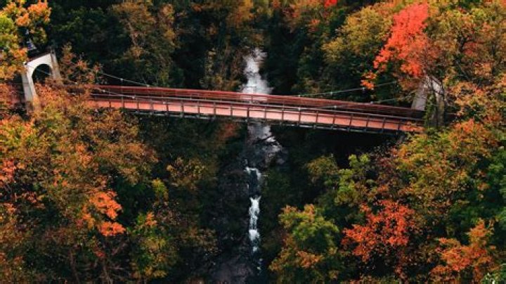 Discover The Height Of Autumn Falls