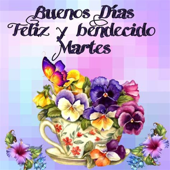 Discover The Magic Of "Buenos Dias Feliz Y Bendecido Martes"