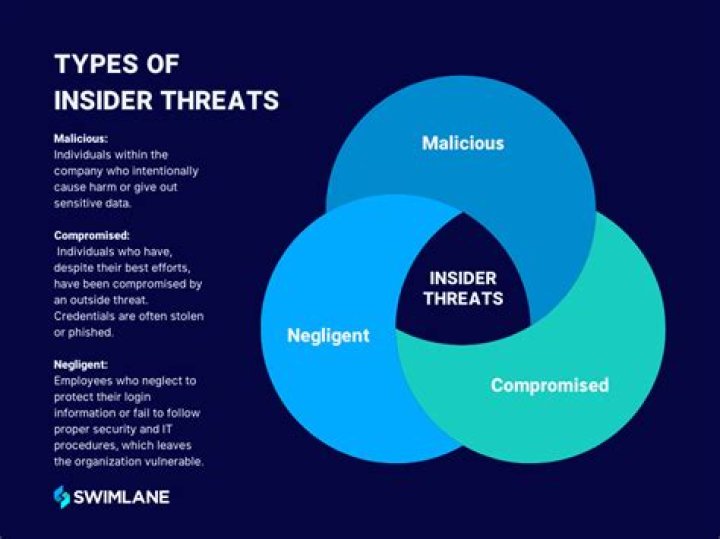 Exclusive Access And Insider's Perspective