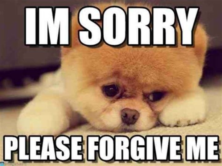 Explore The World Of "I'm Sorry" Memes