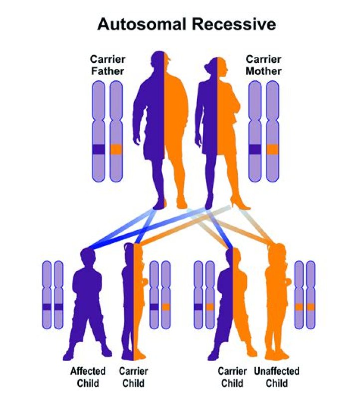 Inherited Disorder Or An Eye Mutation ·