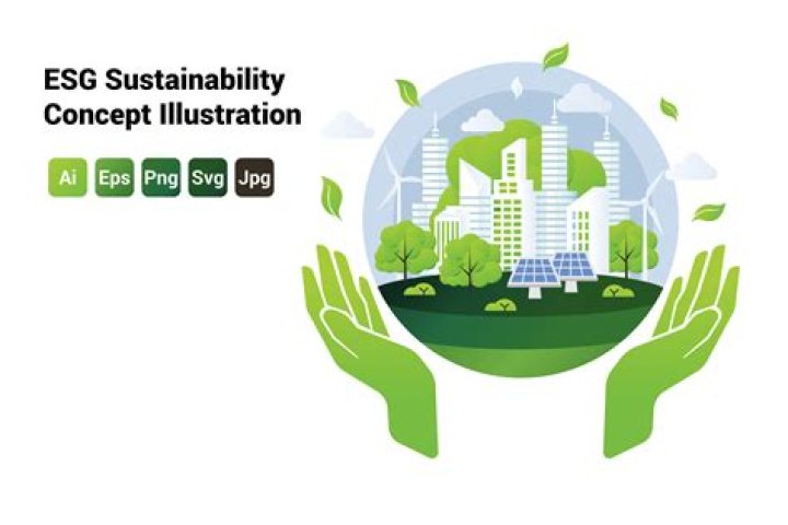 Inspiration, Sustainability, And Bold Designs
