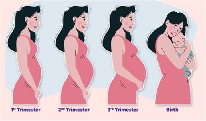 Katie Lee's Pregnancy Journey Explored