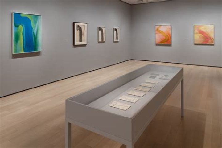 NYC-ARTS | "Georgia O'Keeffe: To See Takes Time" at MoMA | Season 2023