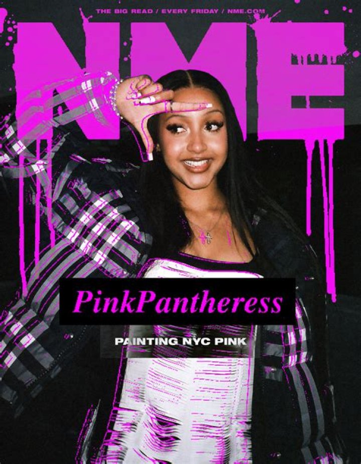 Pinkpantheress: Unraveling The Mystery - Real Name And Love Life Revealed