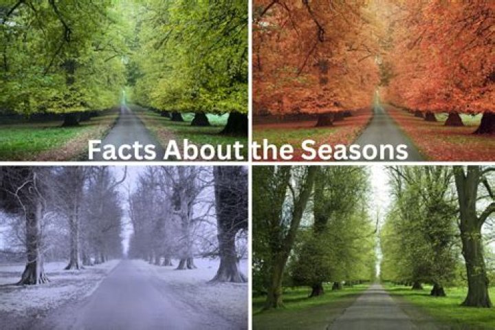 Seasons, Success, And Cultural Impact
