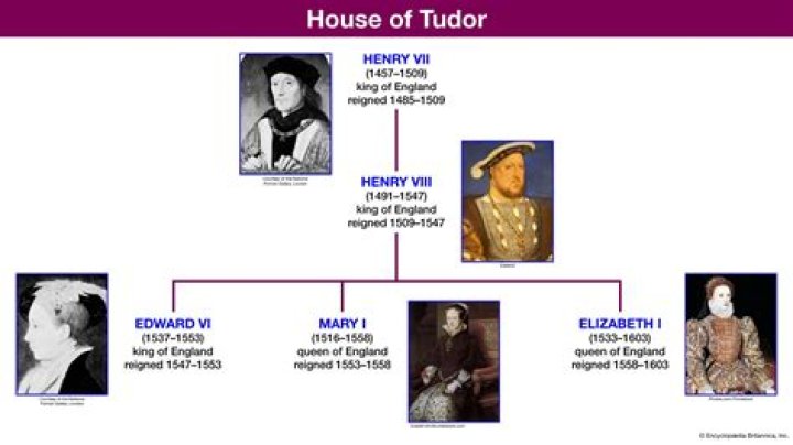 "Tudor Reign Young" And Its Impact On History