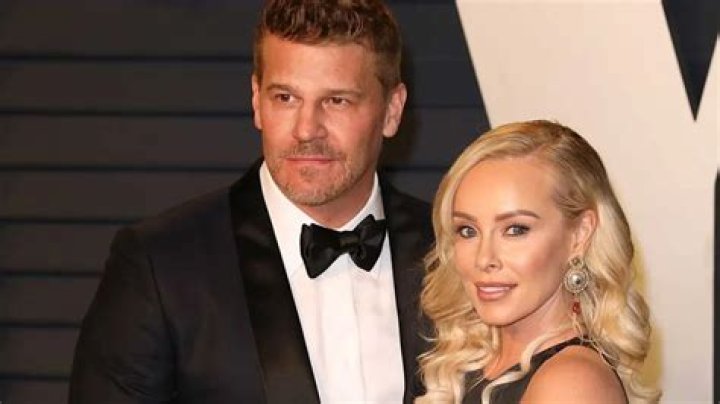 Uncovering The Life And Impact Of Ingrid Quinn, David Boreanaz's Wife
