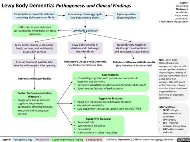 Uncovering Truths About Lewy Body Dementia