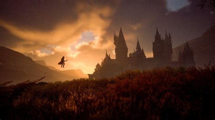 Unraveling The Life And Legacy Of The Beloved Harry Potter