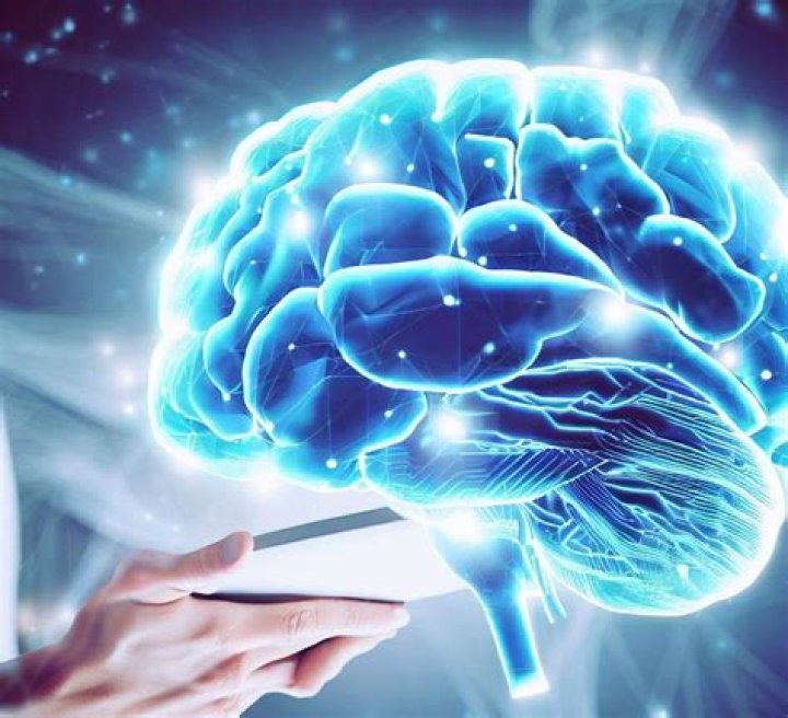 Unraveling The Reasons And Insights