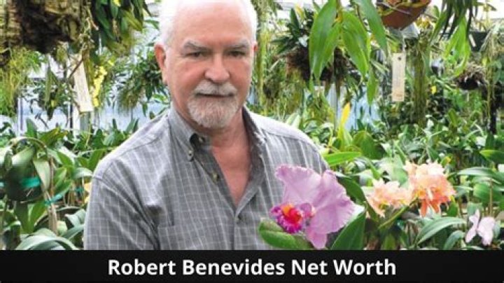 Unveiling Robert Benevides' Net Worth: Discoveries And Insights