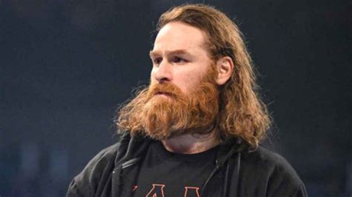 Unveiling Sami Zayn's Heritage: A Journey Into Identity