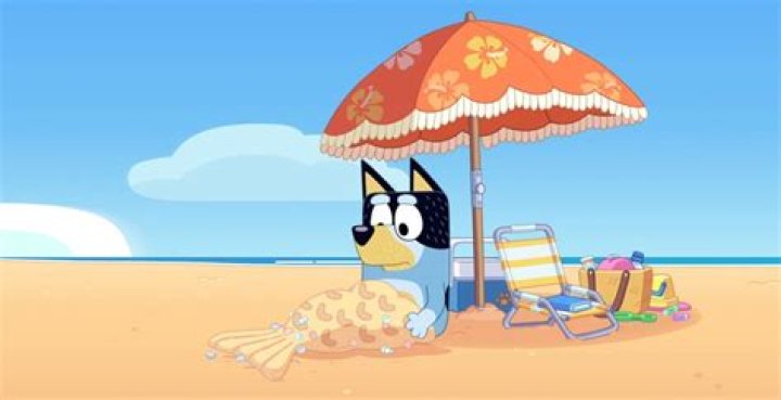 What Happened To Bandit in Stickbird?