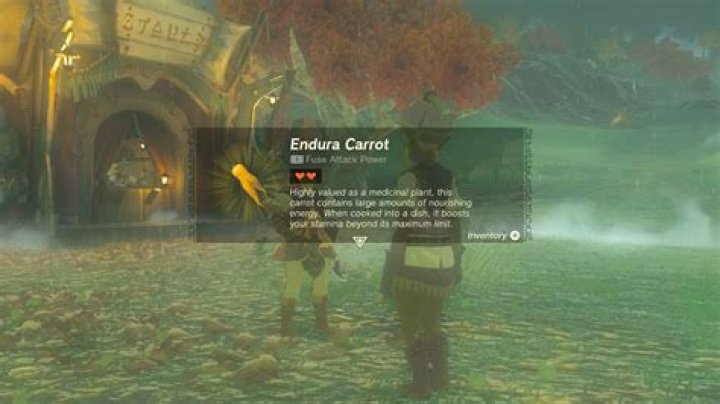 Your Ultimate Guide to Finding Endura Carrots